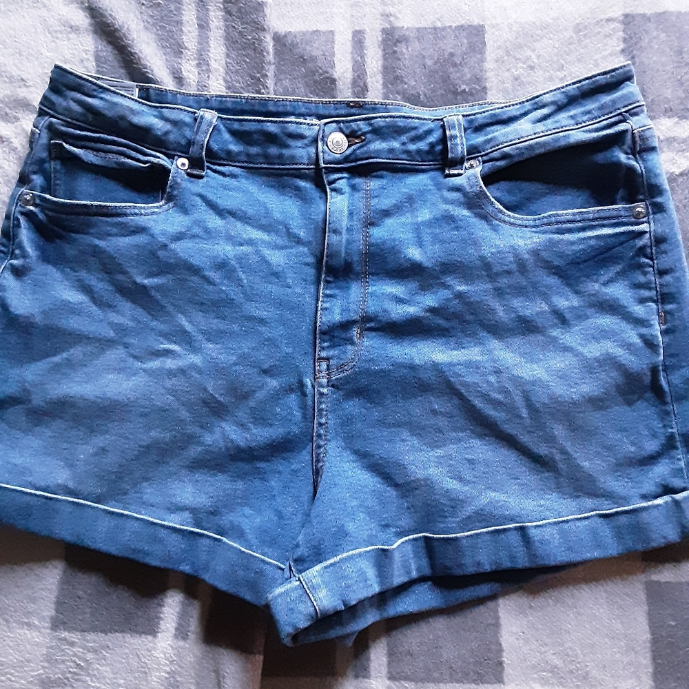 American Eagle Outfitters Mom Shorts size 16